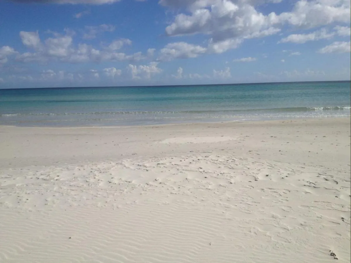 Appartamento Iris 300 Mt Spiaggia San Teodoro  San Teodoro (Sardinia)