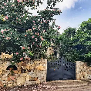 Bed and breakfast Chorisia, San Teodoro (Sardinia)